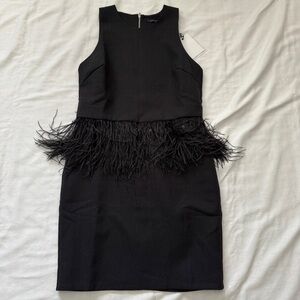 Endless Rose Black Feathered Mini Dress